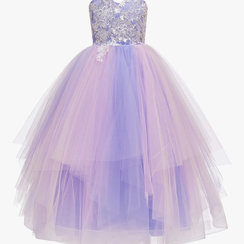 Princess Elegant Purple and Pink Tulle Gown